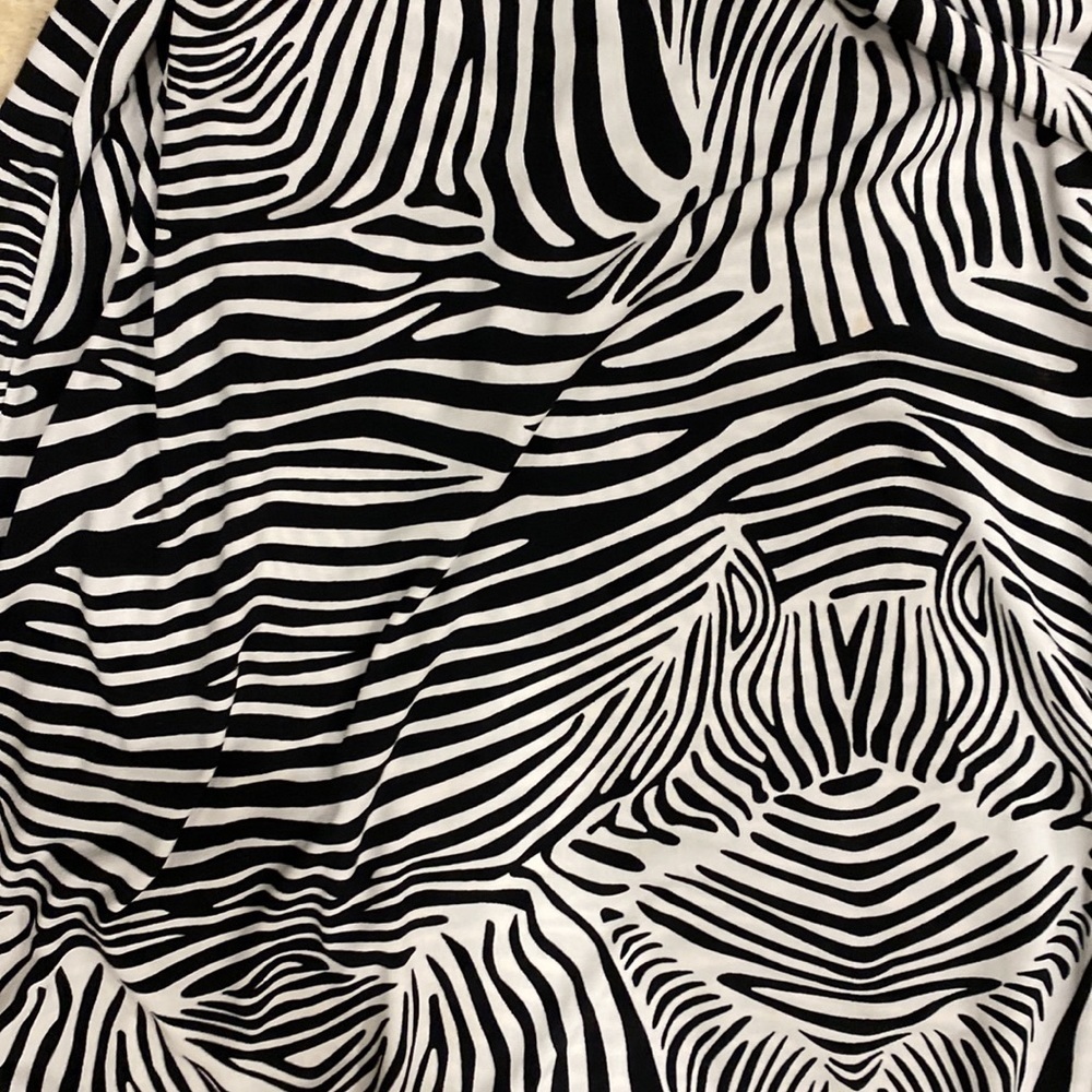 Merona Zebra Strip Button Down Knee length Dress w/ tie at waist - S - Picture 2 of 9